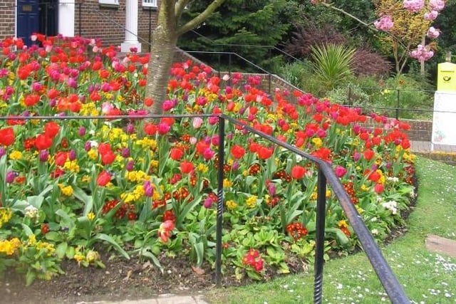 Haywards Heath has had its most successful year in the South and South East In Bloom Awards 2023