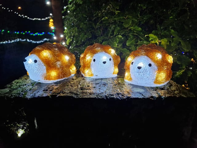 The animal-themed Christmas lights display at 22 Gorse Avenue, Worthing, has been put together by John Wollaston Landscapes and Property Maintenance to raise money for Wadars Animal Rescue Charity.