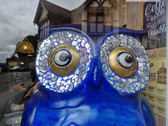 Colourful owls have flown into Arundel as part of the Wild in Art event The Big Hoot trail, raising money for Chestnut Tree House.