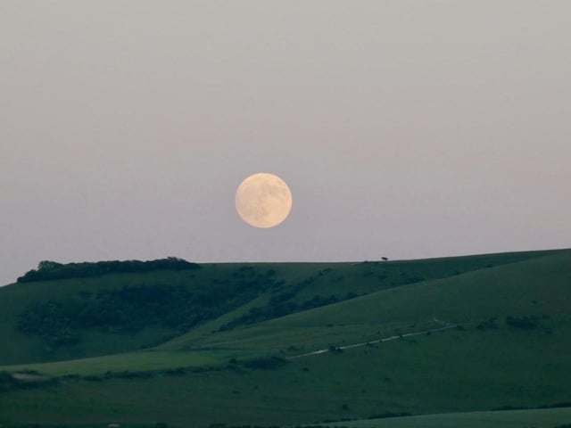 South Downs