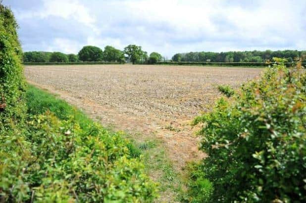 Developers Berkeley Homes want to build 1,500 new homes, schools and sports facilities on farmland at Southwater near Horsham