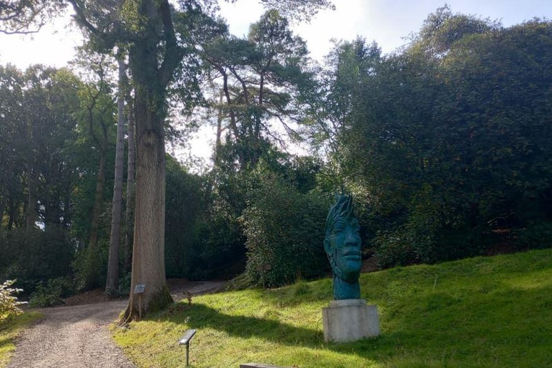 A sculpture situated near Bluebell Bank at Leonardslee Gardens