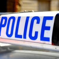 Boys arrested after armed police called to St Leonards