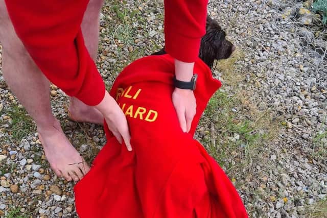 The photograph shows the RNLI lifeguards with dog Coco after the rescue. Credit: RNLI.