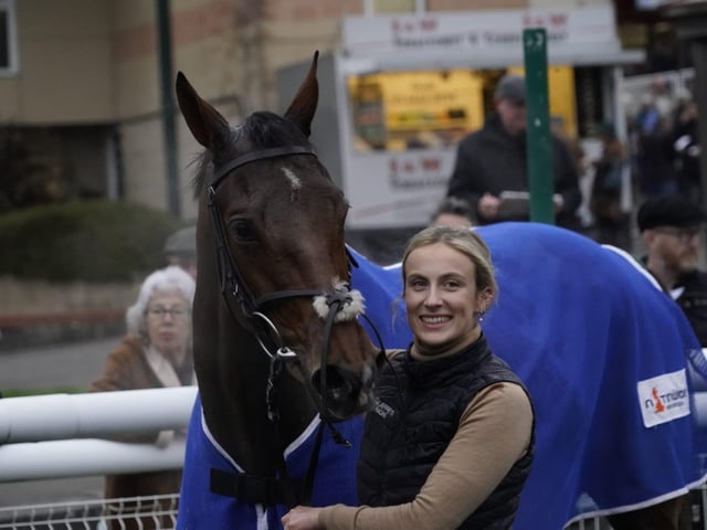 November jump racing at Fontwell Park