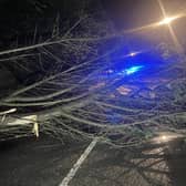 A tree fell on top of a moving bus in Old Worthing Road, East Preston, during Storm Ciarán.