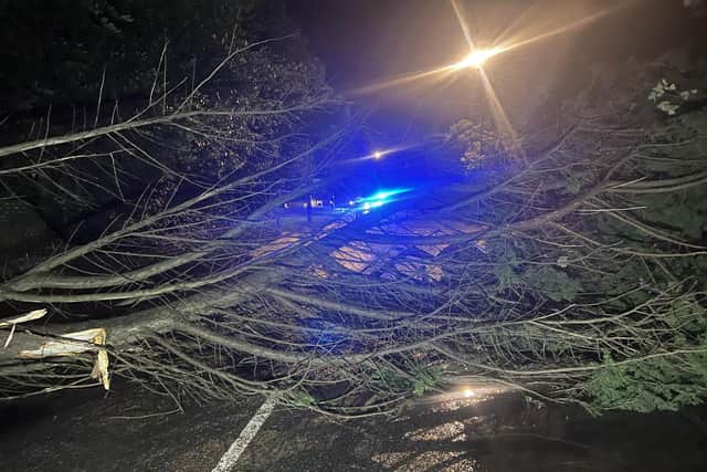 A tree fell on top of a moving bus in Old Worthing Road, East Preston, during Storm Ciarán.