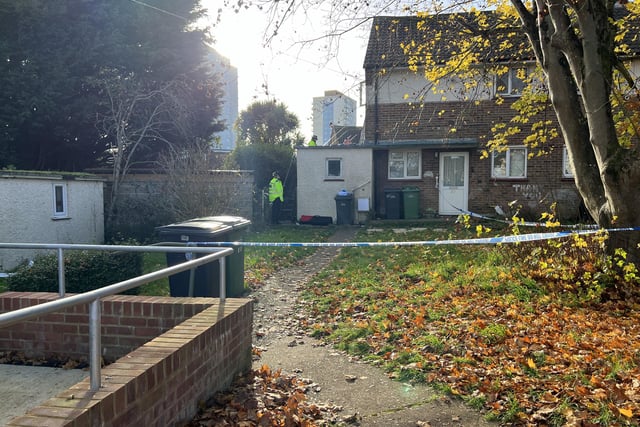 St Leonards: Two arrested on suspicion of attempted murder after man ...