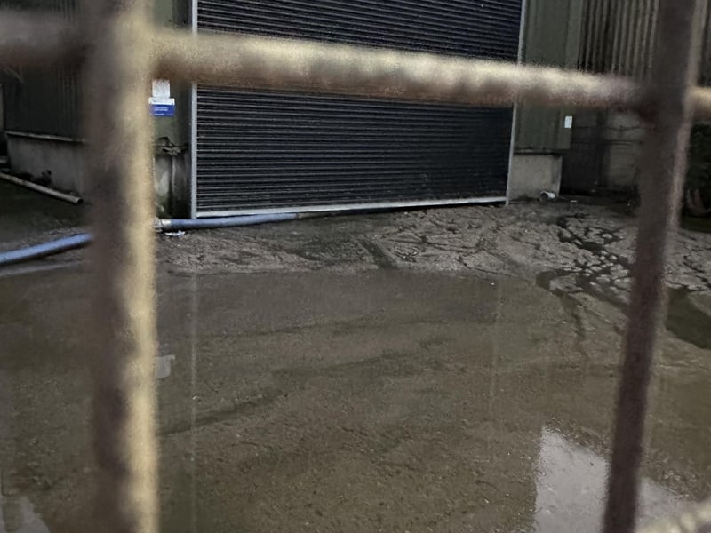 Southern Water has apologised to residents affected by a sewage leak in Southwick – with video footage showing 'raw excrement' covering local roads.