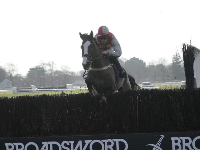 Boxing Day racing at Fontwell Park, 2025