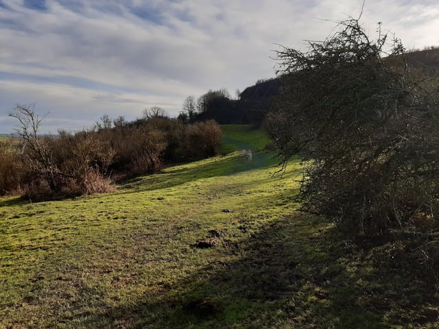 Follow this path around the hill, as this is not so steep as the direct route.