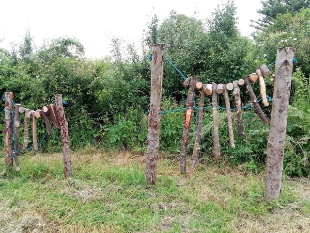 The wild play area that was introduced in the Big Picnic Field in 2013