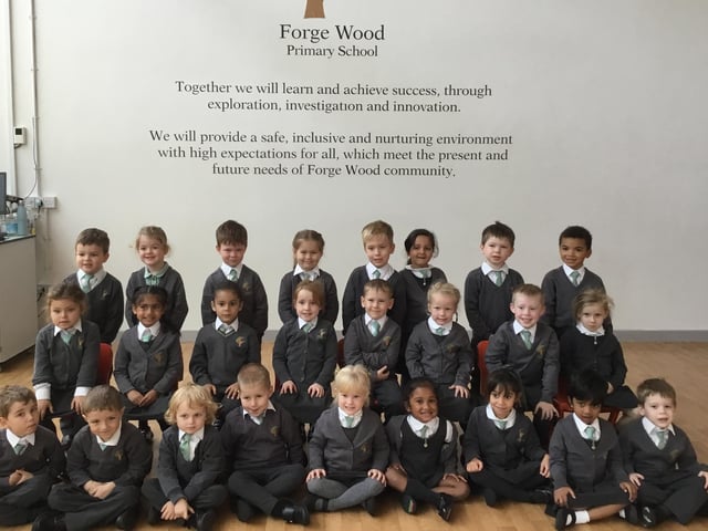 Forge Wood Primary - Kingfishers class