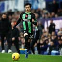 Kaoru Mitoma of Brighton & Hove Albion has been a bargain addition to the Premier League