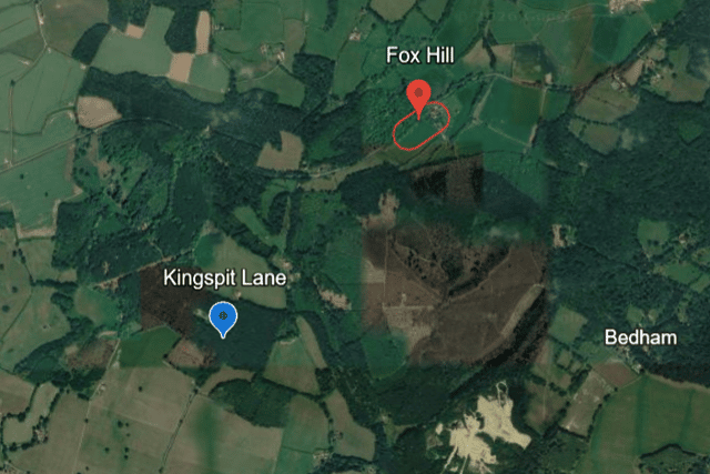 Firefighters have rushed to a busy road, near Petworth, after reports of a serious collision. Photo: Google Earth