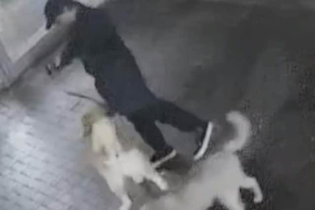Police have released a CCTV image of a person of interest after a dog attack at Prince Regent Swimming Pool. Photo: Sussex Police