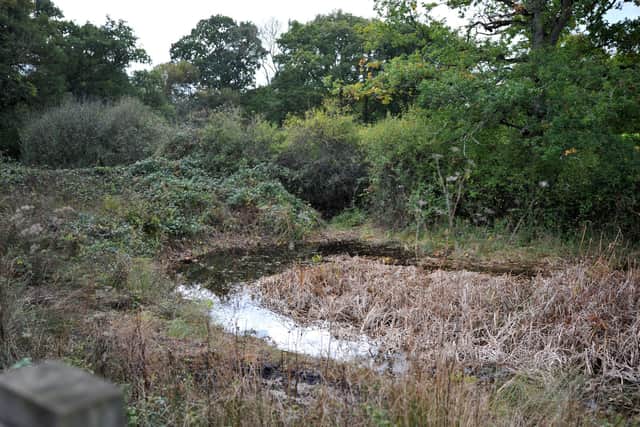 Farmer Ralph Dickson has put in ponds on his land at Cowfold and plans to plant thousands of trees as part of the Queen's Green Canopy. But he fears his plans could be wrecked because Rampion wind farm have chosen his land as a site for underground cabling