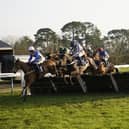 They race at Fontwell Park on Wednesday afternoon | Picture: Clive Bennett