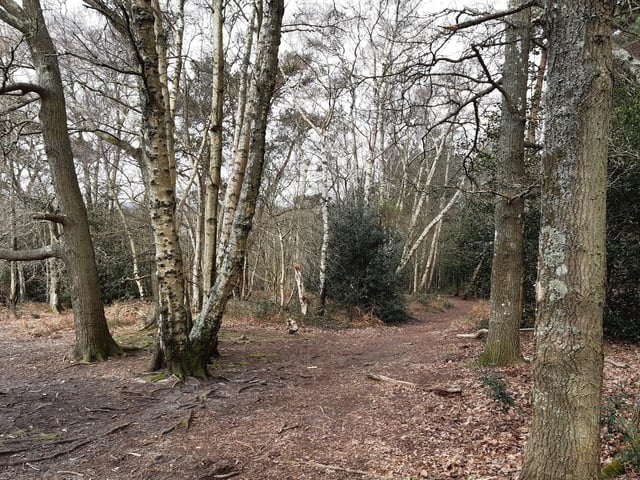 Turn right to go downhill to the Warren Hill car park
