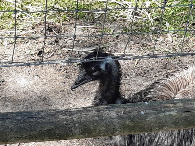 Tilgate Nature Centre