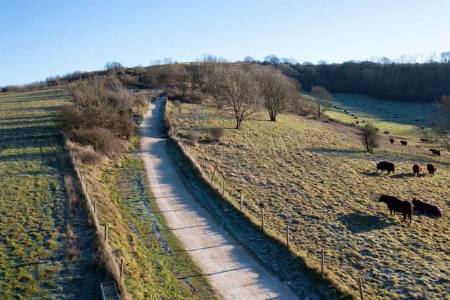 The refurbished path