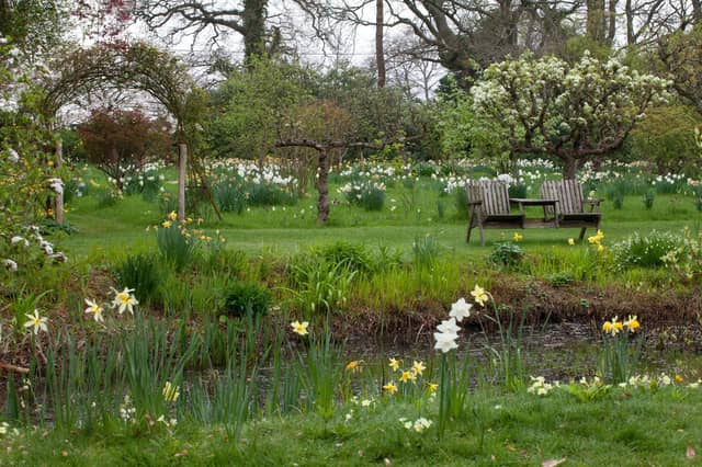 King Johns Lodge