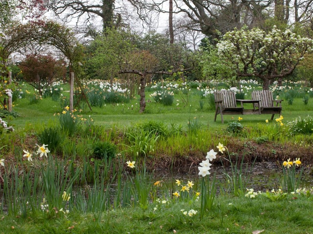 King Johns Lodge