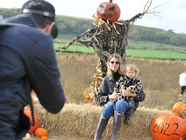 The popular Sompting Pumpkins picking patch