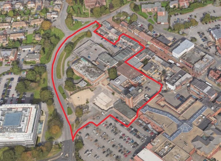 ‘No one wants to see trees removed’: Council leader defends axing of two ...