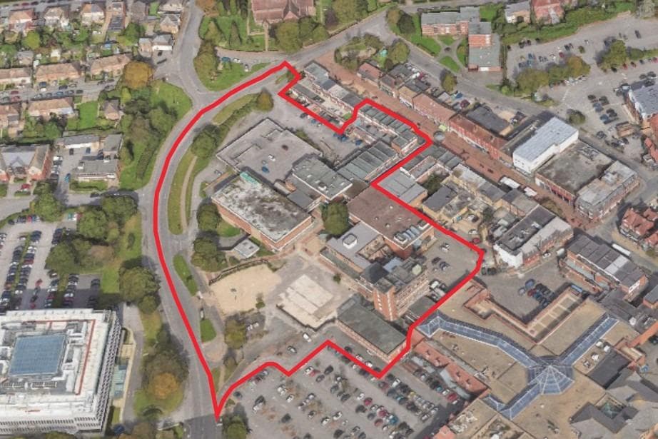 ‘No one wants to see trees removed’: Council leader defends axing of two ...