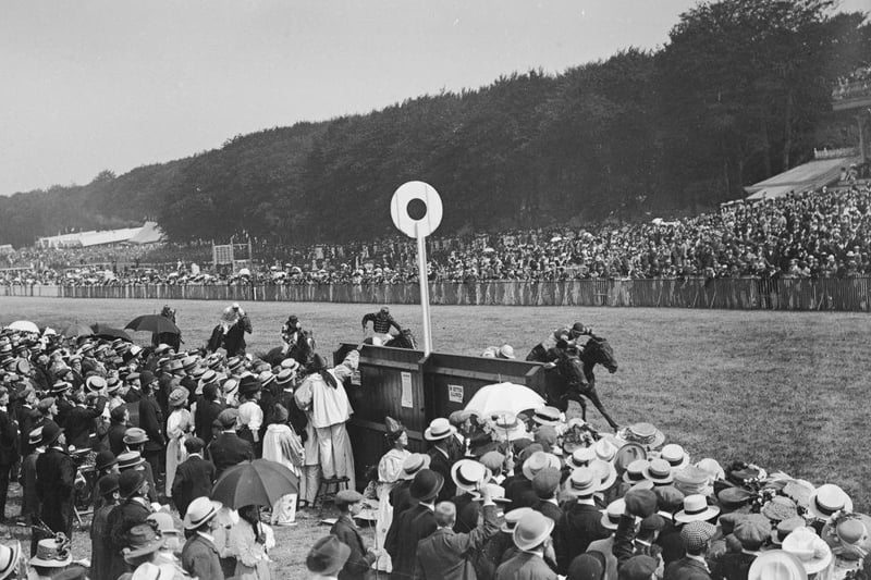Spectators cheer on the riders and horses during a horse race at Goodwood in September 1909.