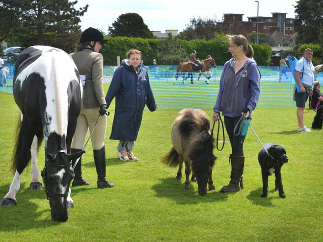Bexhill Horse & Dog Show 2024.