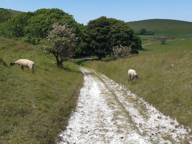 As you go, you will see a batch of brick farm buildings, to the right of the trees, and this is where you need to head.