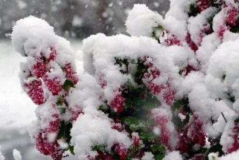 Snow in Worthing on April 6, 2008