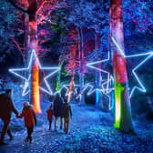 Christmas At Bedgebury 2023 to sparkle with magical new showstoppers on mile-long illuminated trail