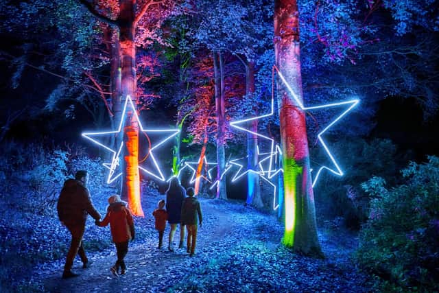 Christmas At Bedgebury 2023 to sparkle with magical new showstoppers on mile-long illuminated trail