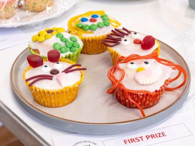 Winning fairy cakes presented by a nine-year-old