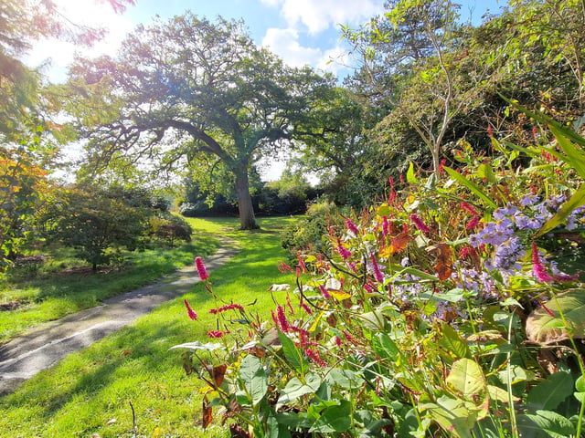 Borde Hill Halloween event and autumn colour. HR26111901 Pic Hollie Robards/Iconic Media Group