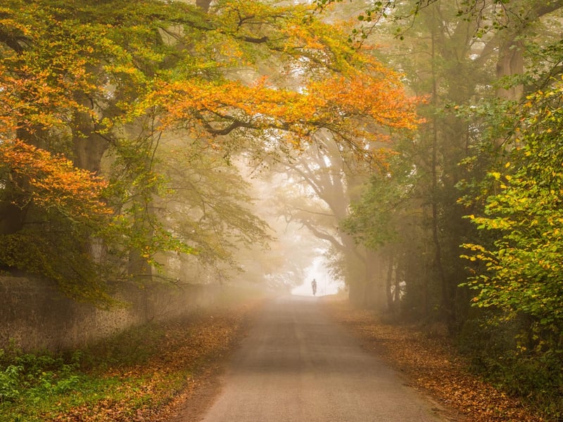Autumn category: Cycling through autumn by Emma Varley