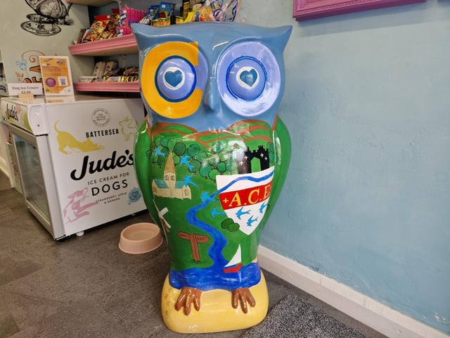 Colourful owls have flown into Arundel as part of the Wild in Art event The Big Hoot trail, raising money for Chestnut Tree House.