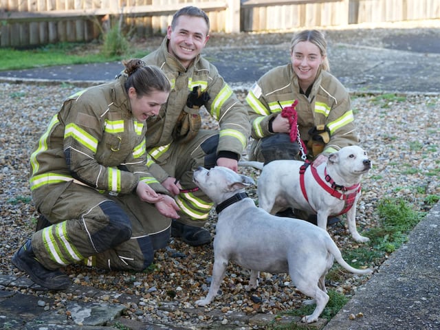 Left to right: Firefighter Hannah, Mille and Lance with rescued dog Sky and Jade