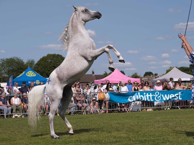 Stallions of Substance with their brilliant horse act enthralled the crowds