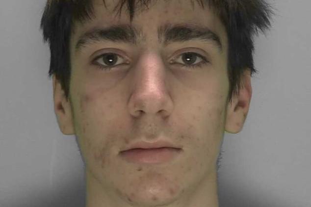 A Lancing man who admitted the manslaughter of his grandmother in Brighton has been jailed. Pietro Addis, 20, of Ring Road, was convicted of manslaughter following the death of Susan Addis, 69, who was found dead at her home in Cedars Gardens, Brighton, on Thursday, January 7 2021. He was acquitted of murder by a jury at Lewes Crown Court on Friday, March 3, on the grounds of diminished responsibility. At Lewes Crown Court on Friday, May 5, Addis was sentenced to 15 years, with ten to be spent in custody and further five on extended licence.