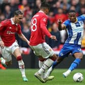 Brighton and Hove Albion played well against Manchester United in the FA Cup semi-final at Wembley Stadium