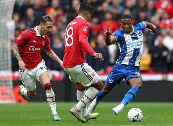 Brighton and Hove Albion played well against Manchester United in the FA Cup semi-final at Wembley Stadium