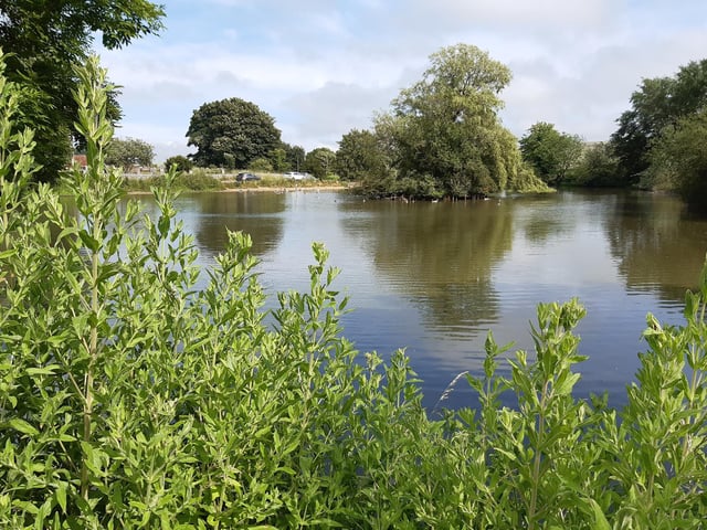 Continue along Park Street, with Falmer Pond to the right. This is a lovely place to visit and worth the little diversion.