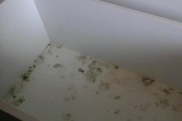 Tina and her mother say their bungalow has been badly affected by mould