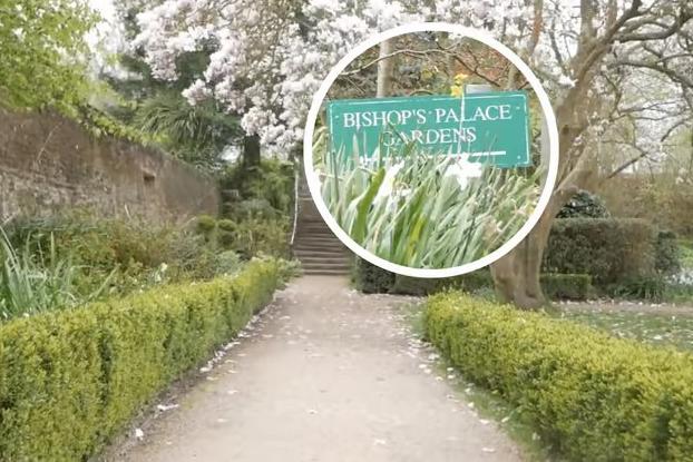 A hidden gem behind Chichester Cathedral, this beautifully landscaped garden offers colourful flowerbeds, quiet benches, and grassy lawns. It’s a peaceful spot perfect for a relaxed lunch under the trees, with the cathedral spire rising just beyond the wall.