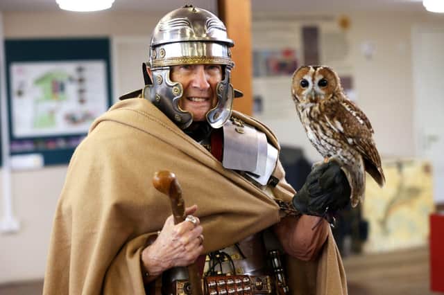 Birds of Prey displays will take place at Fishbourne Roman Palace this weekend