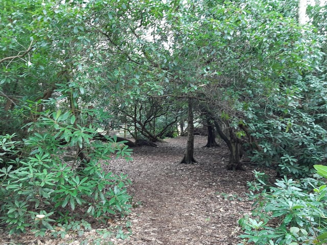 It's an easy path to follow.